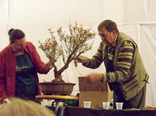 GSBS Annual Bonsai Show 2010 exhibit #8, Great Swamp Bonsai Society Roseland New Jersey